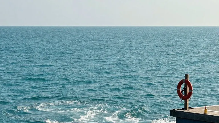 Illustration for: British woman dies in Bimini after being swept away saving sons